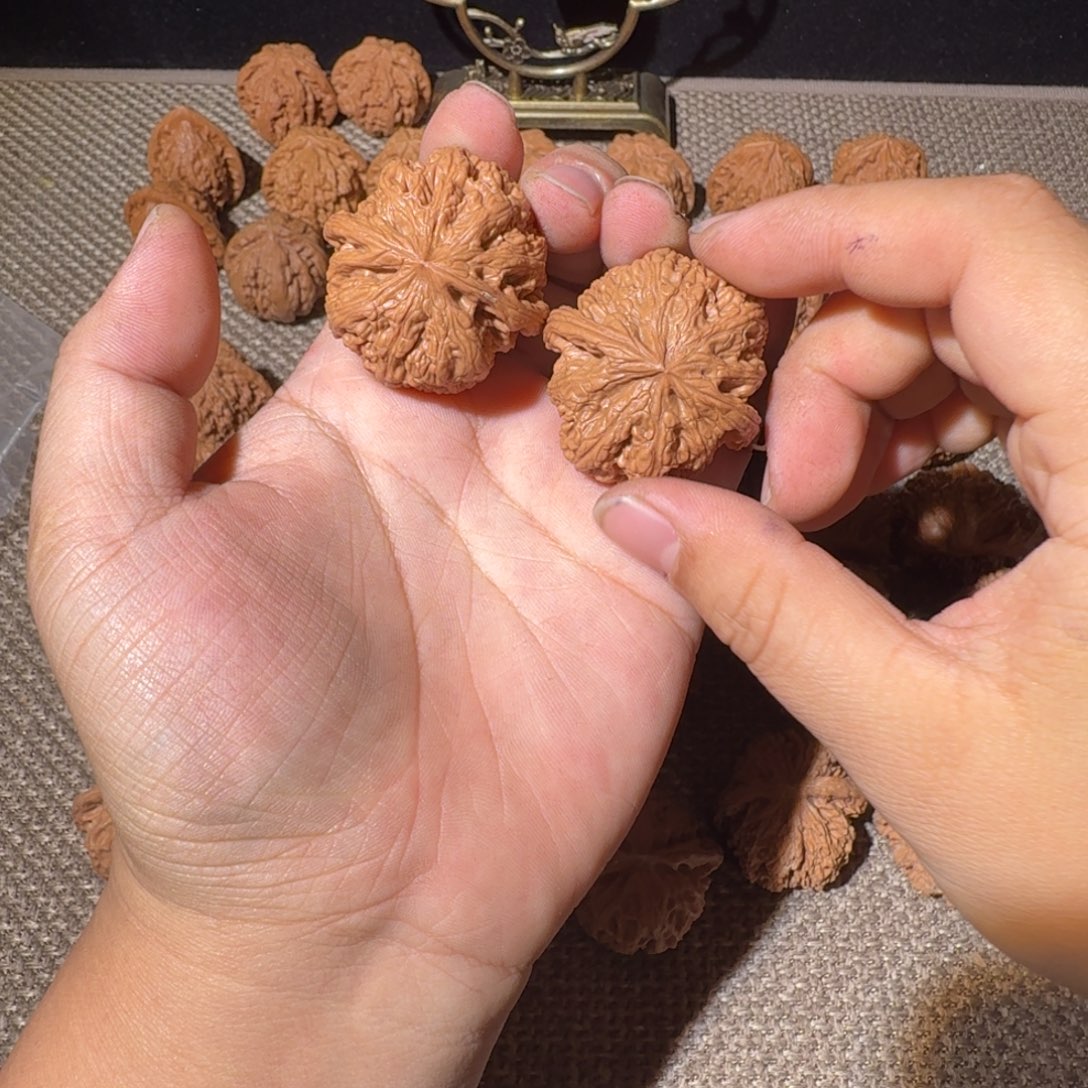 竹***风非洲紫檀（红花梨）把件粗筋