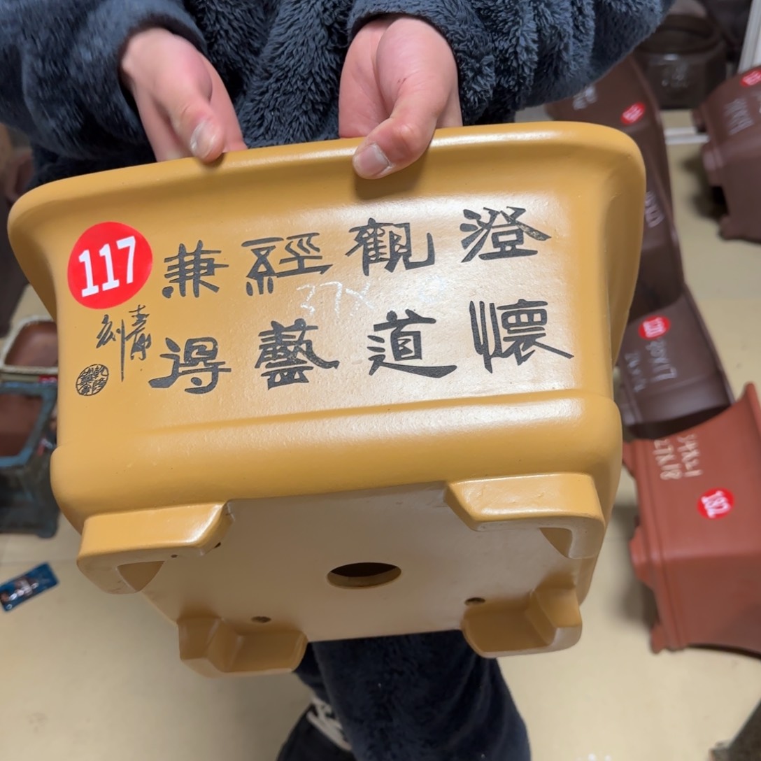 紫砂花盆呜呜呜呜