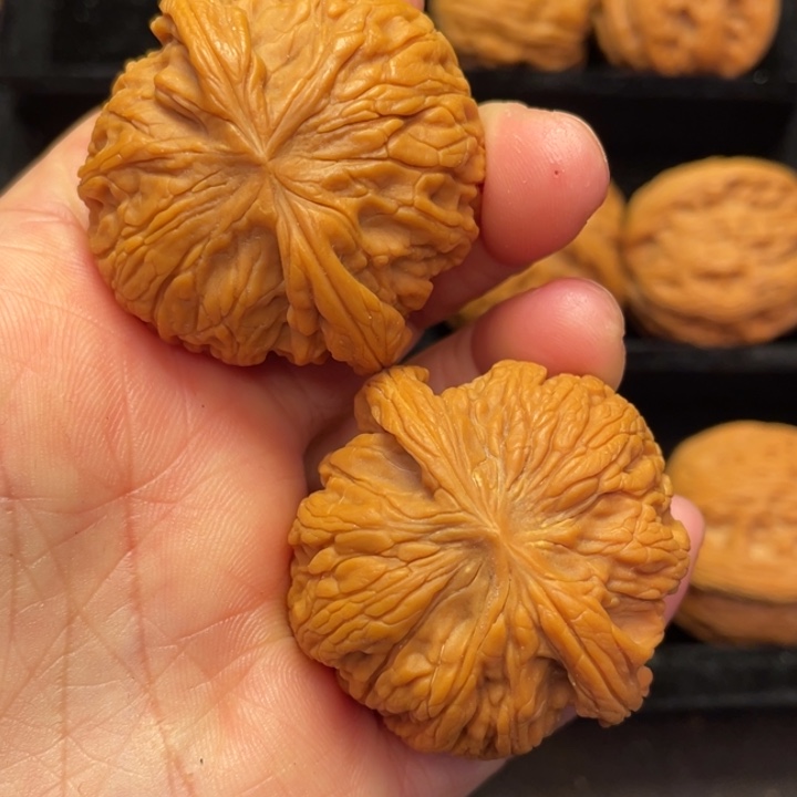 文玩核桃把件秦岭的森林