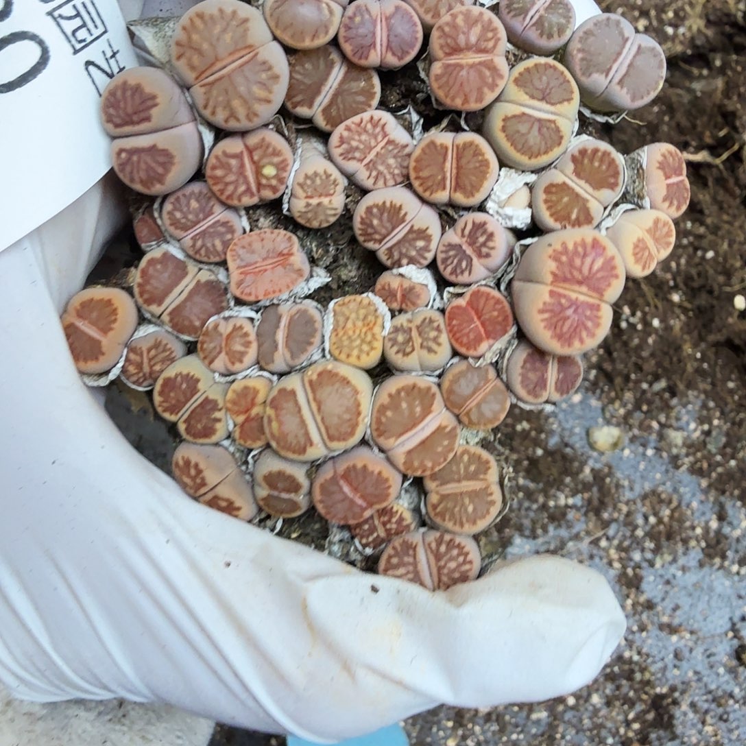 你好忙的嘛啊哈哈你不在380是