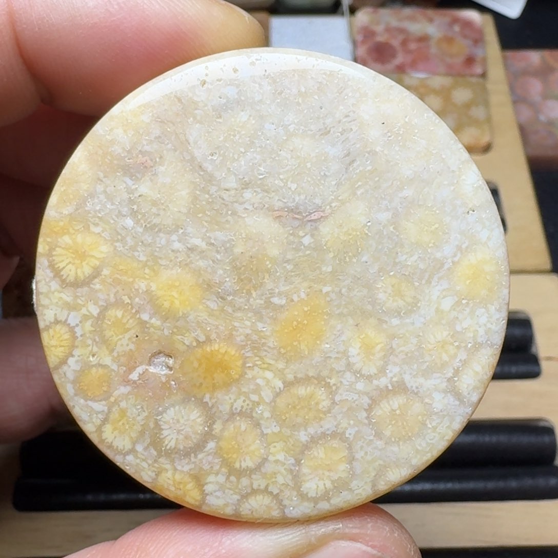 硅化玉纯天然色有机玉石手镯芯未镶嵌