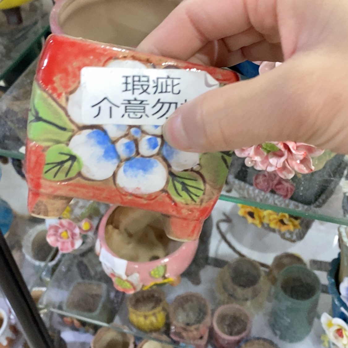 【闪购商品】红陶福利