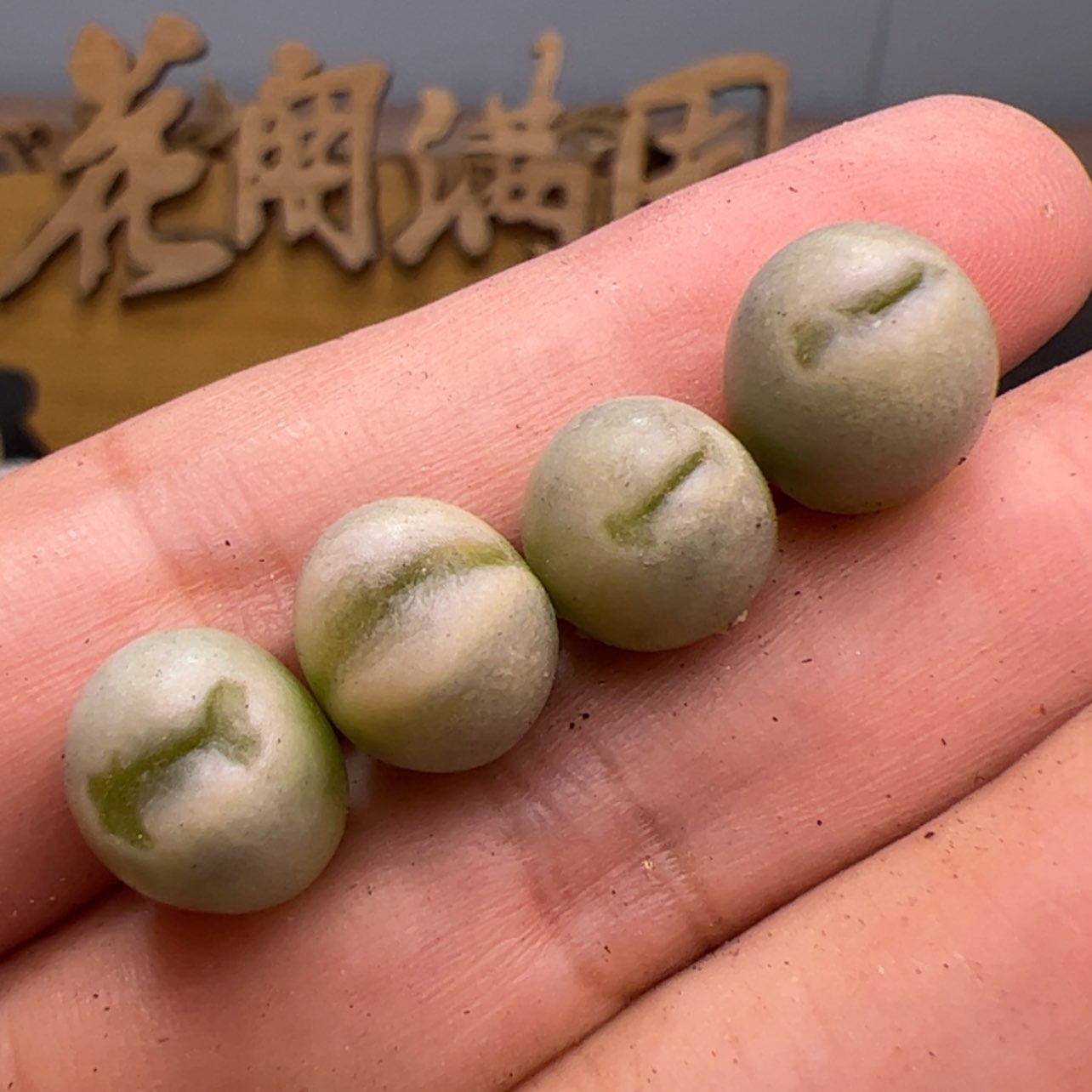【闪购商品】00000006丑鹅