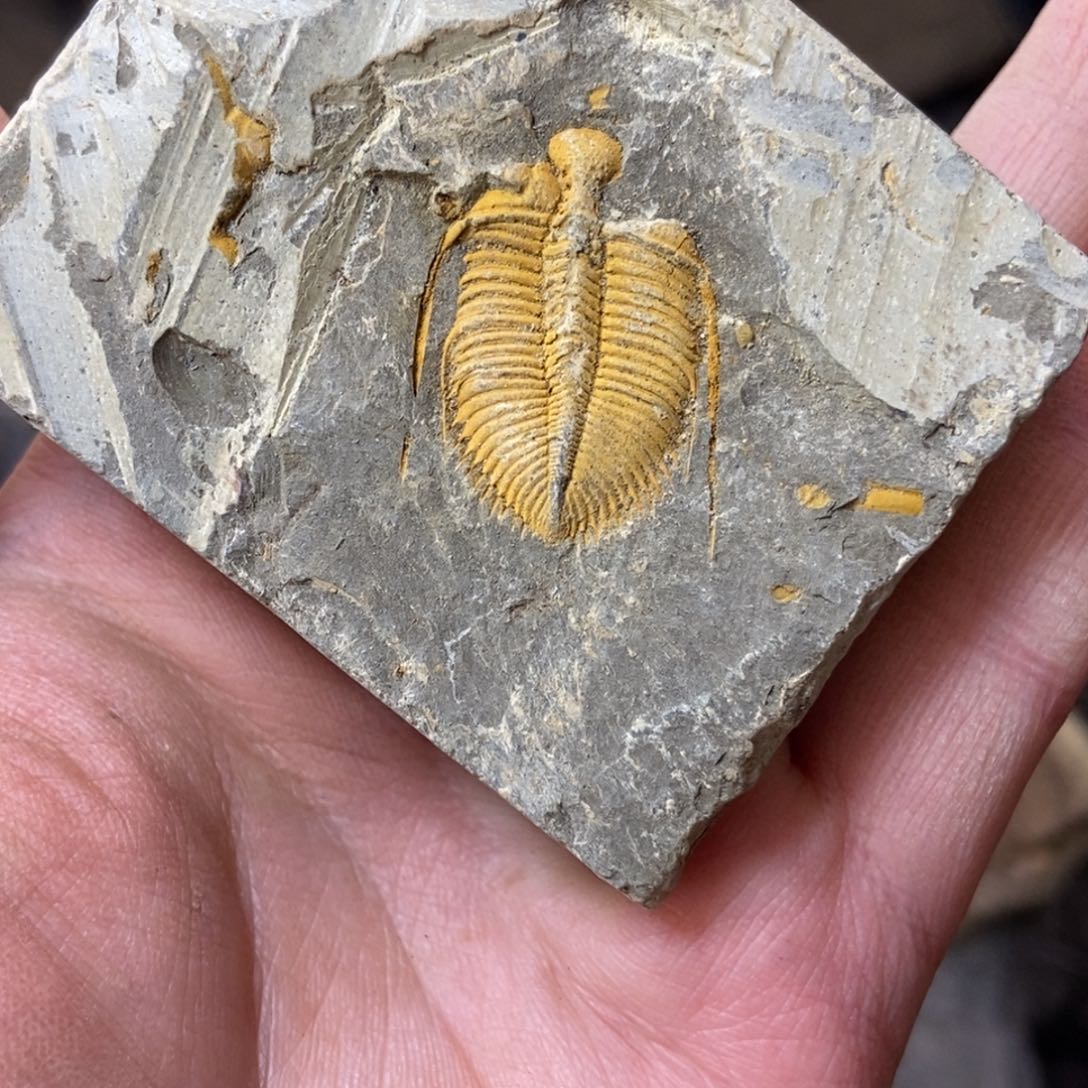 浩***澜石材11111111111111