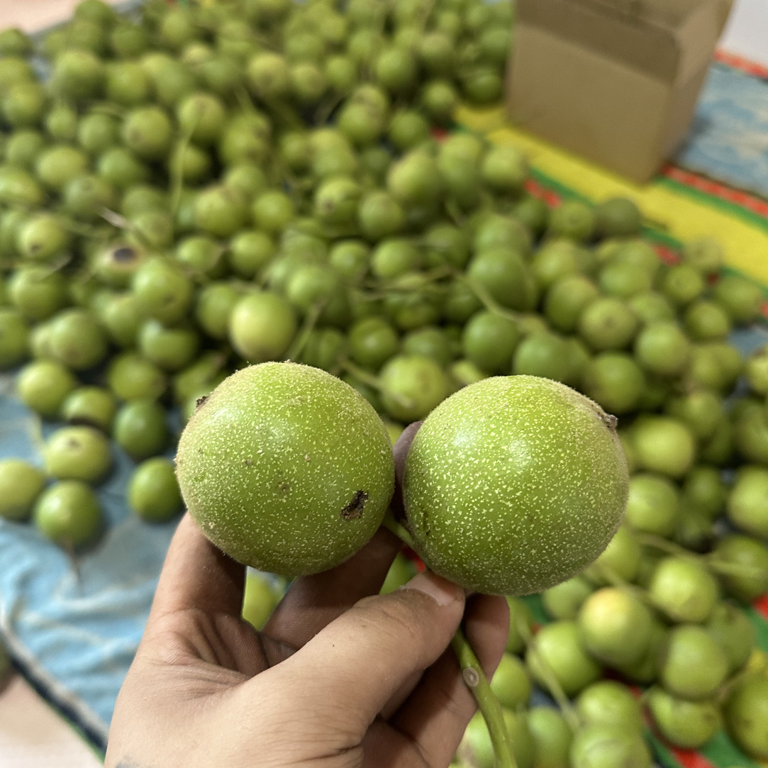 现摘盘山青皮十个以上不退不换