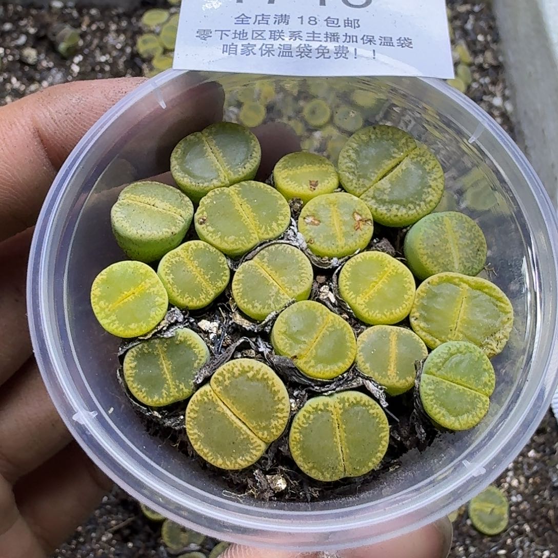 1748 哈哈哈哈哈哈哈哈哈哈哈哈