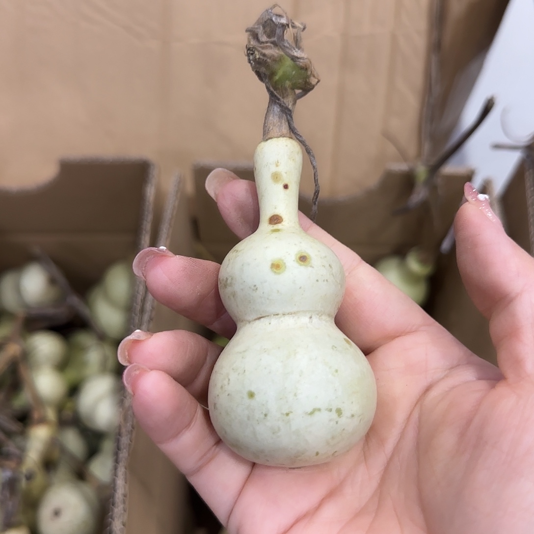 我***人葫芦刚刚好尴尬JHV好