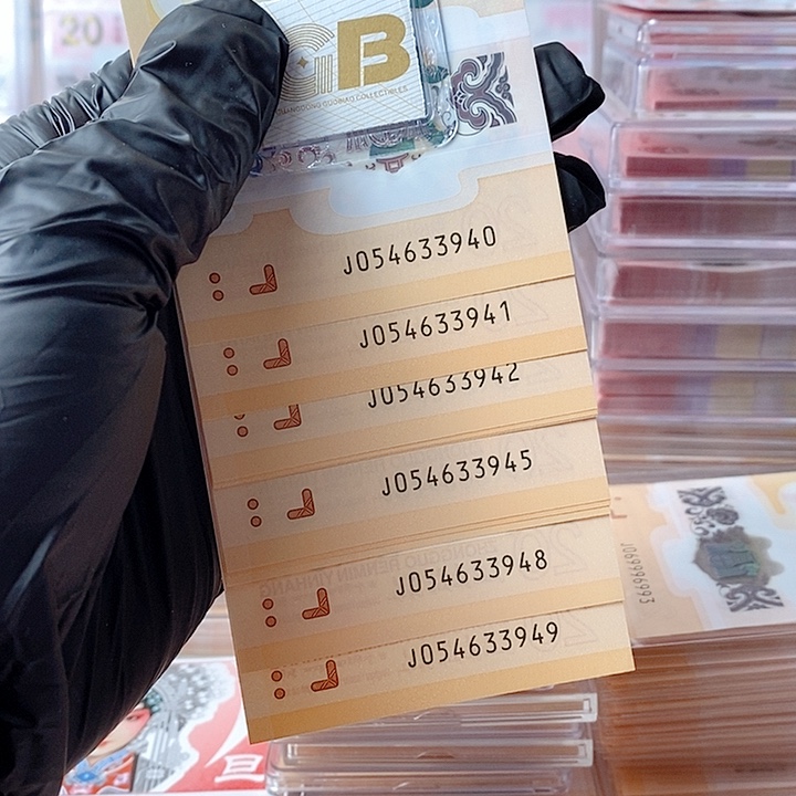 塑料24龙钞054633940十连