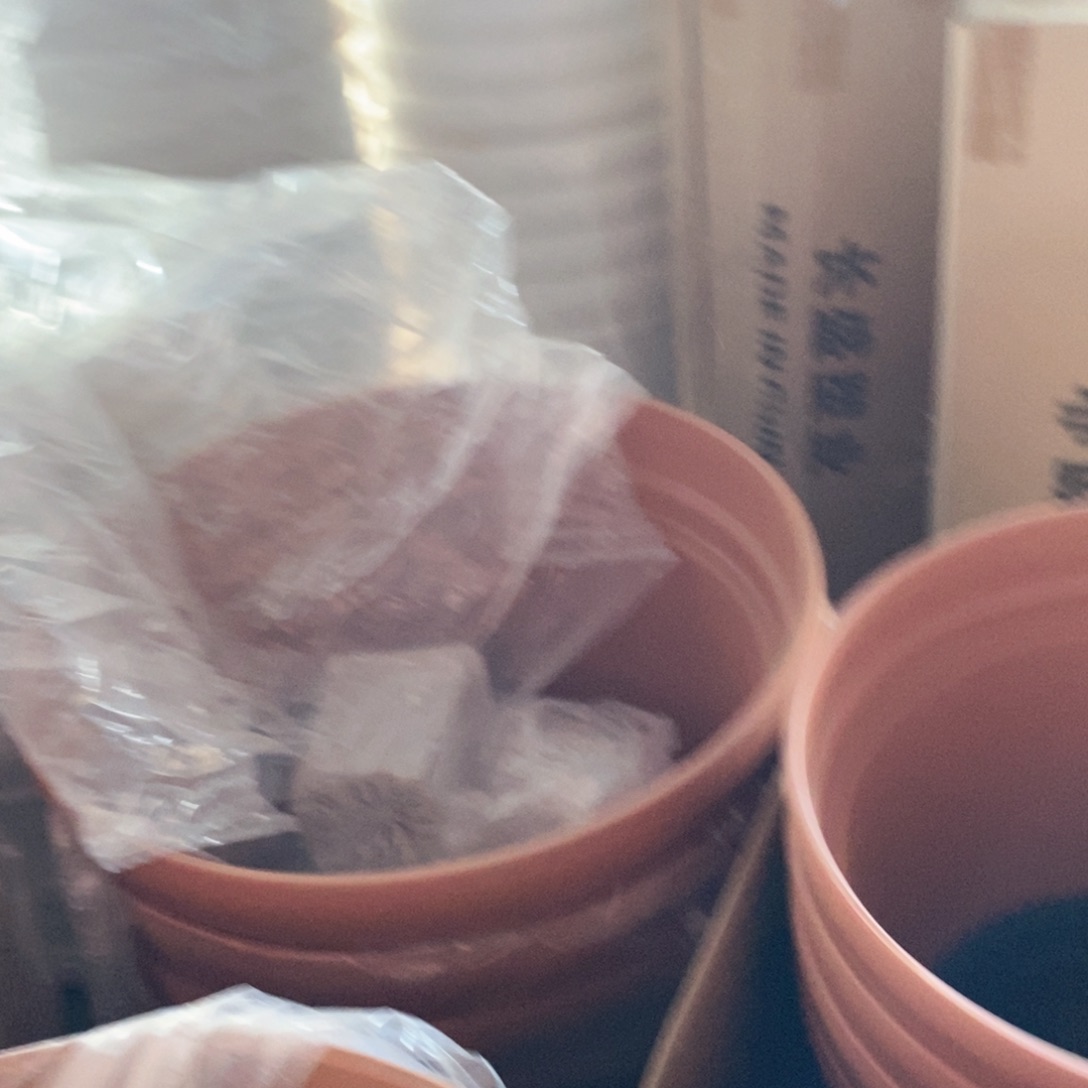 y****o2个爱丽丝14号茶色巴伦西亚