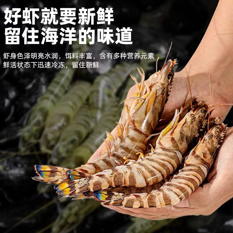 C青岛大大号纯野生斑节虾，花虾，九节虾一斤10-14只，净重两斤