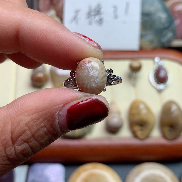 硅化珊瑚（珊瑚玉）颈饰足银镀金镶嵌