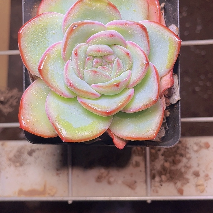 小***毛这就是为什么不可以说