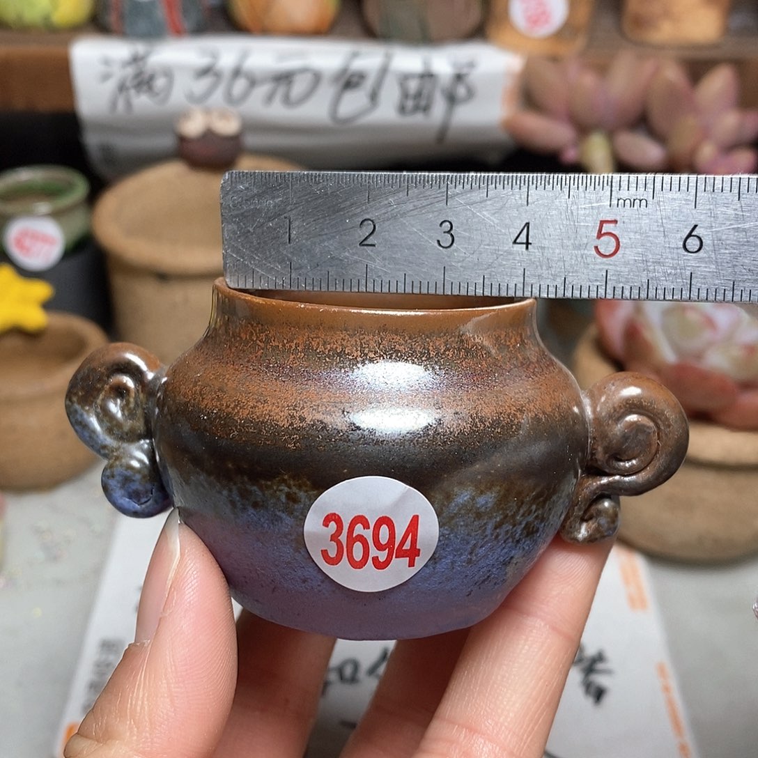 红陶拍5送一个小