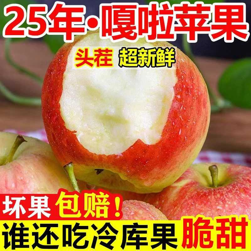 【坏果包赔】2025年头茬嘎啦苹果新苹果鲁丽小型果脆甜