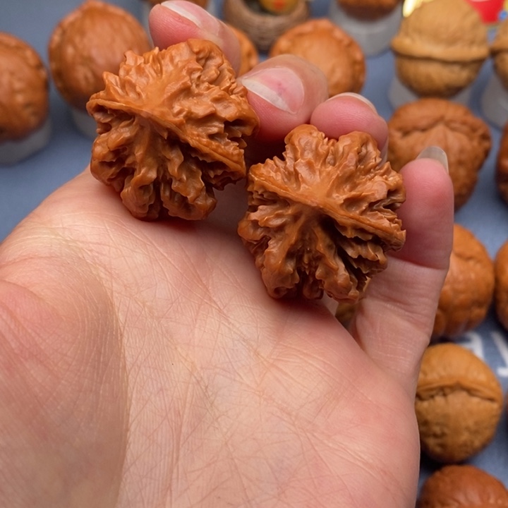 文玩核桃把件龙脊背