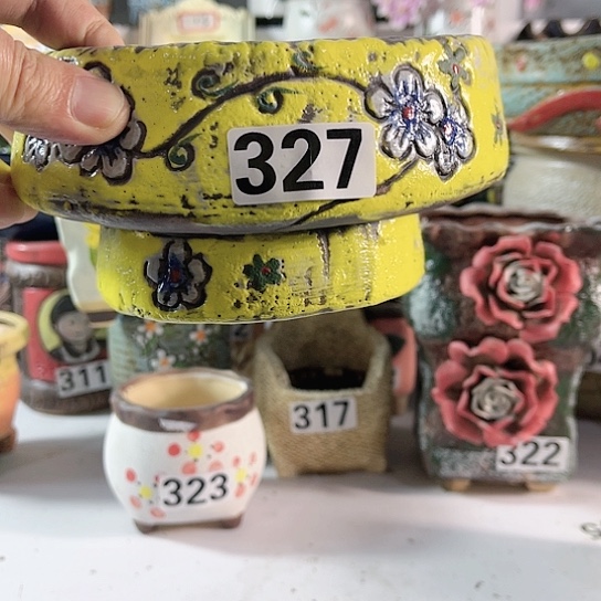 红陶多肉植物花盆