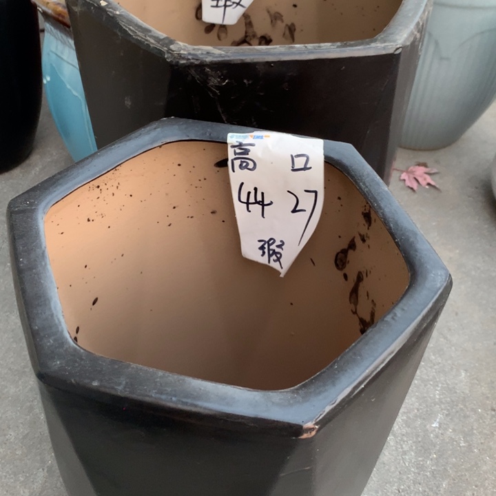 花盆里的小猫咪们都好可爱啊哈哈哈