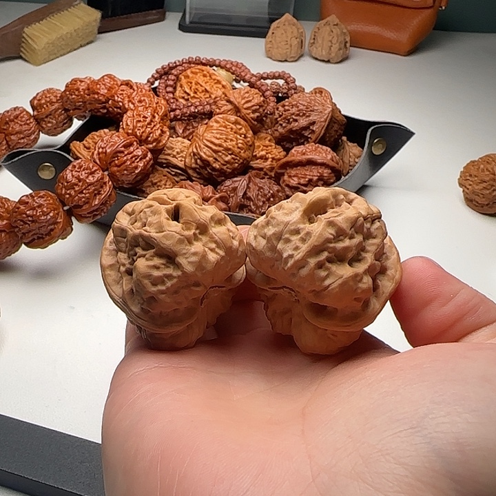 38-43-36肌肉蛙四开背B6号