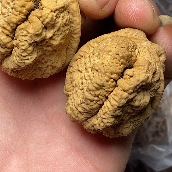 文玩核桃把件志成云铁文玩1