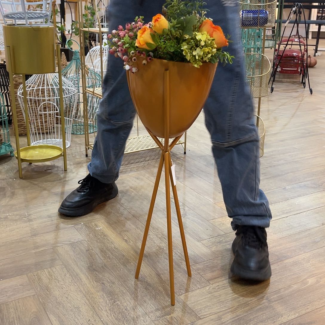 红陶红陶红陶红陶