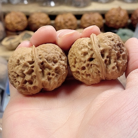 文玩核桃把件贵妃枕带彩40