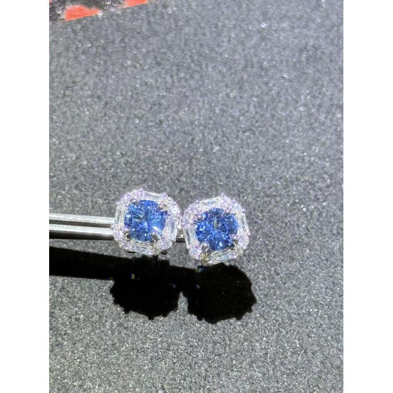 （年年粉丝专属）T23123精美蓝耳钉