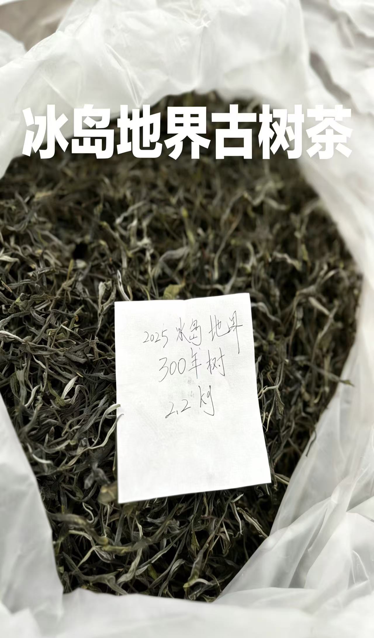 新人试喝！每人限10份！冰岛地界百年古树纯料！15克试喝装！