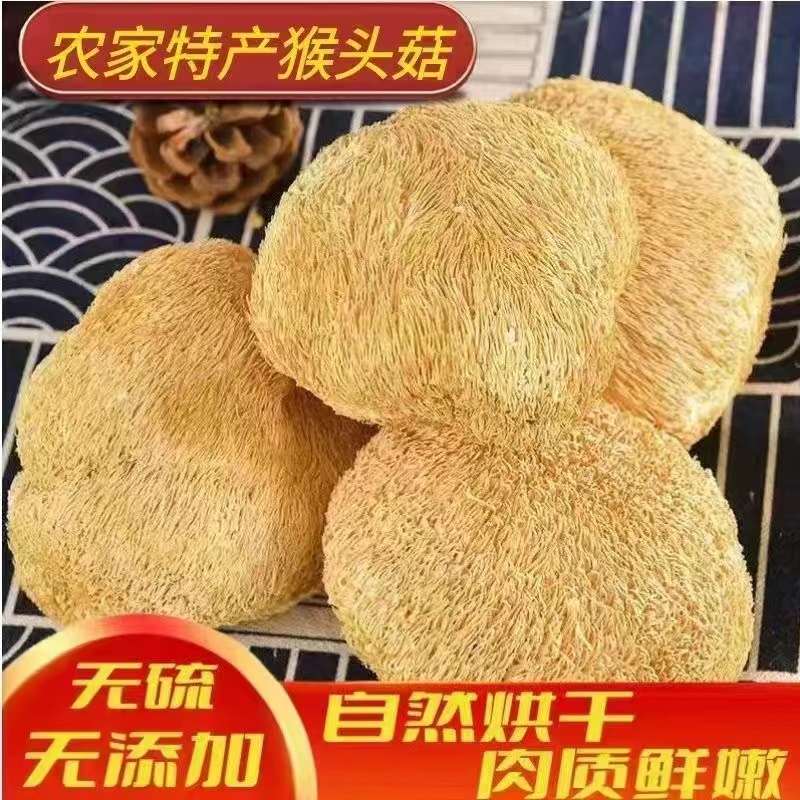 福建古田县正宗猴头菇干货高山农家猴头菇无熏煲汤食材干猴菇菌