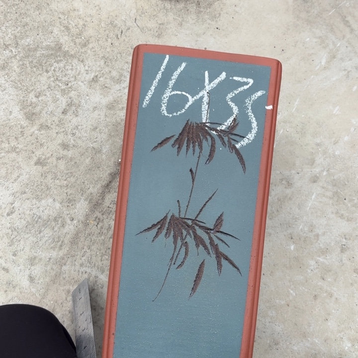 紫砂花盆紫砂的花