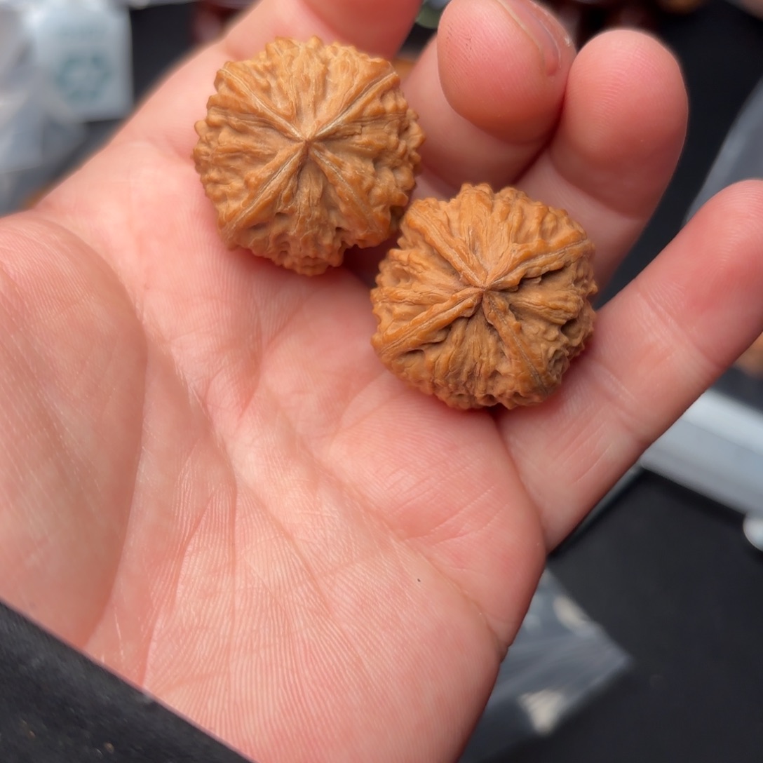 文玩核桃把件330000000