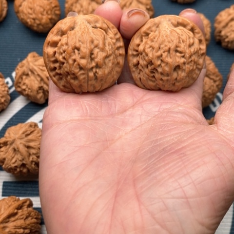 橄榄核手串/手链大****圈莲花