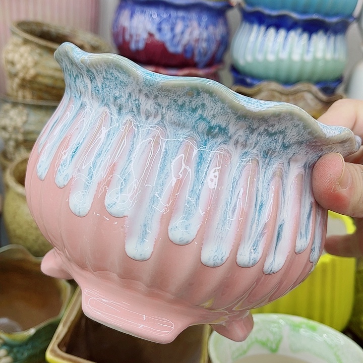 多肉植物陶瓷花盆