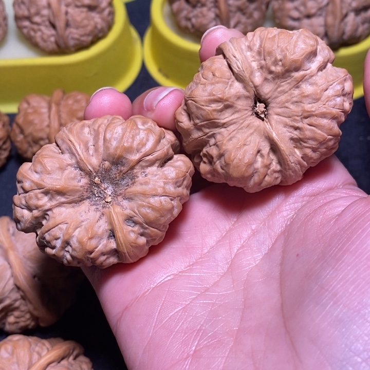 文玩核桃把件j***j蛙蛙40