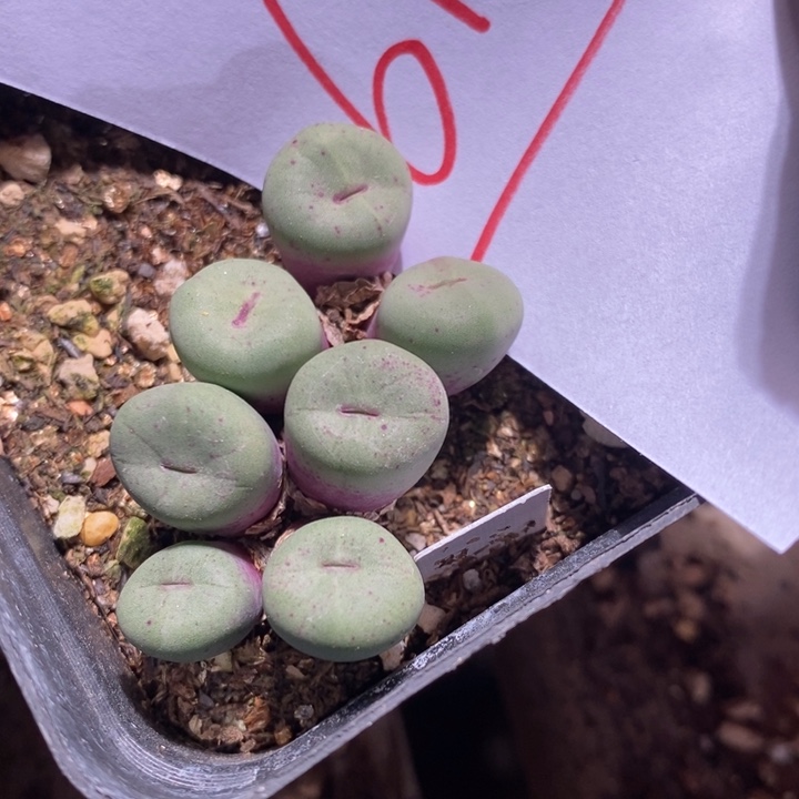 6139一组一组一组