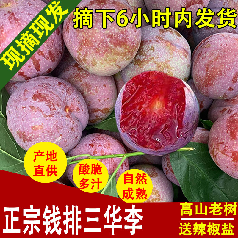 现货正宗钱排三华李广东信宜红心李子新鲜采摘当季孕妇酸脆水果