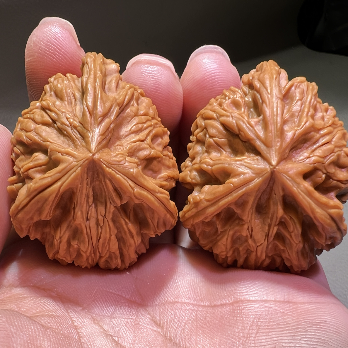 御龙筋文山三棱球奔120开角粗棱异形粗棱粗筋顶级手把件盘它核桃