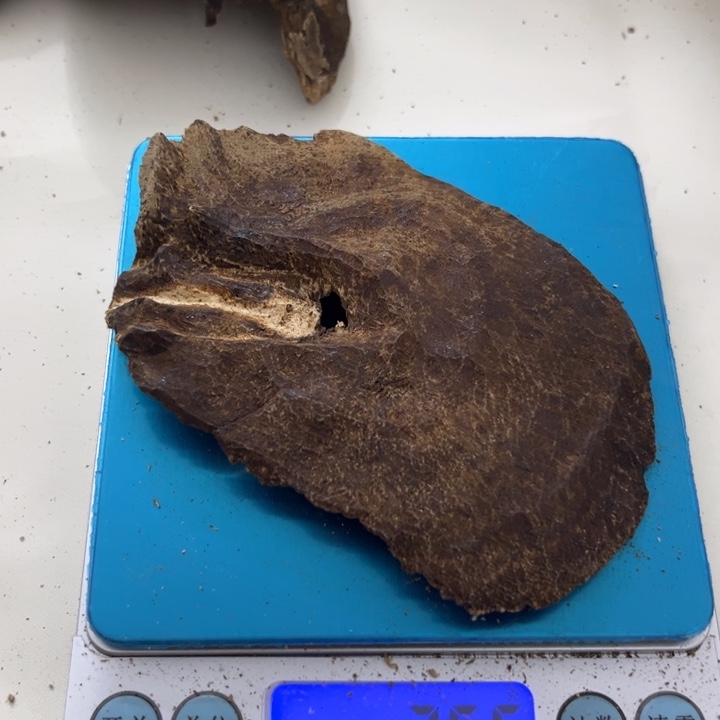 沉香沉香木制品海南野生铁头7.5g