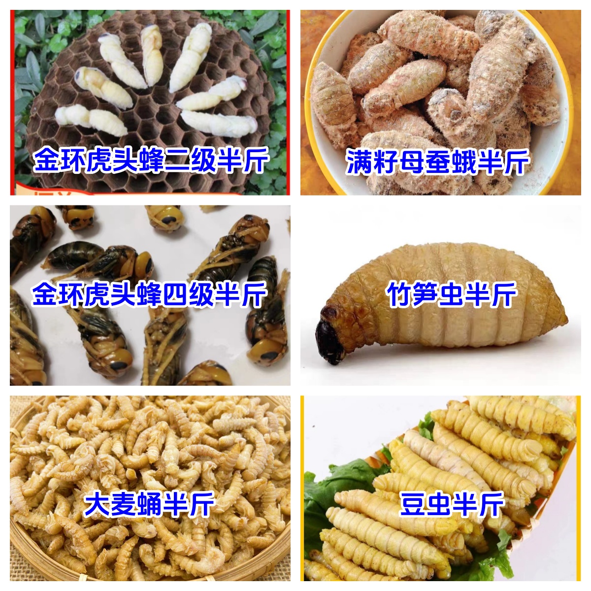 二级土蜂蛹满籽母蚕蛾四级土蜂蛹竹笋虫大麦蛹豆虫各半斤总共3斤