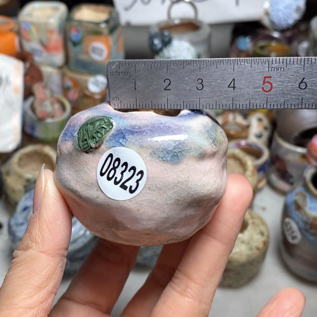 花盆拍3送一个小礼物