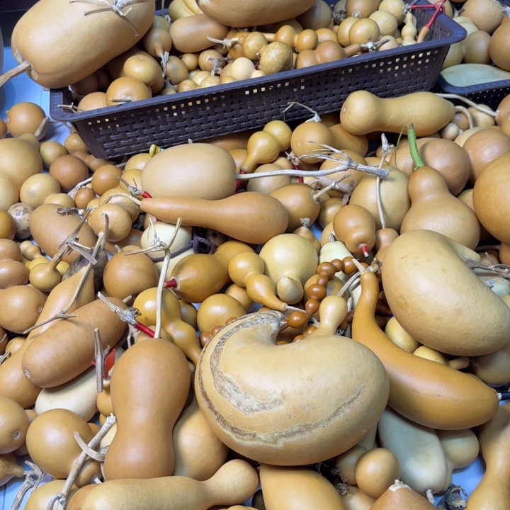 冰***爸竹类三个保定墩葫芦