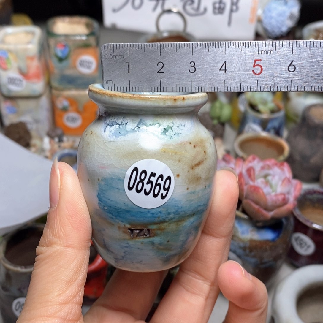 花盆拍5送一个小礼物
