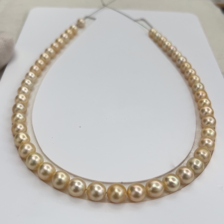 金珠浅金7-9mm未镶嵌海水珍珠