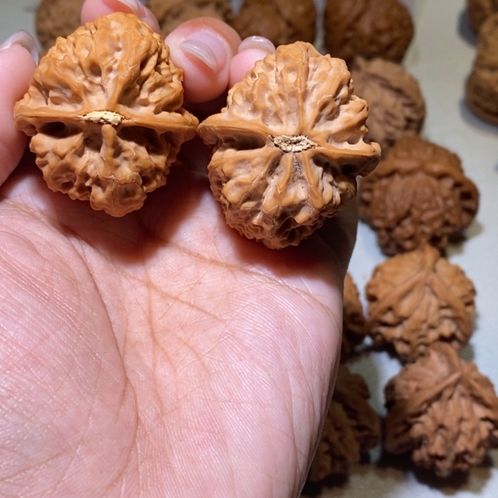 嘟***嘟核桃手串/手链沈鸡