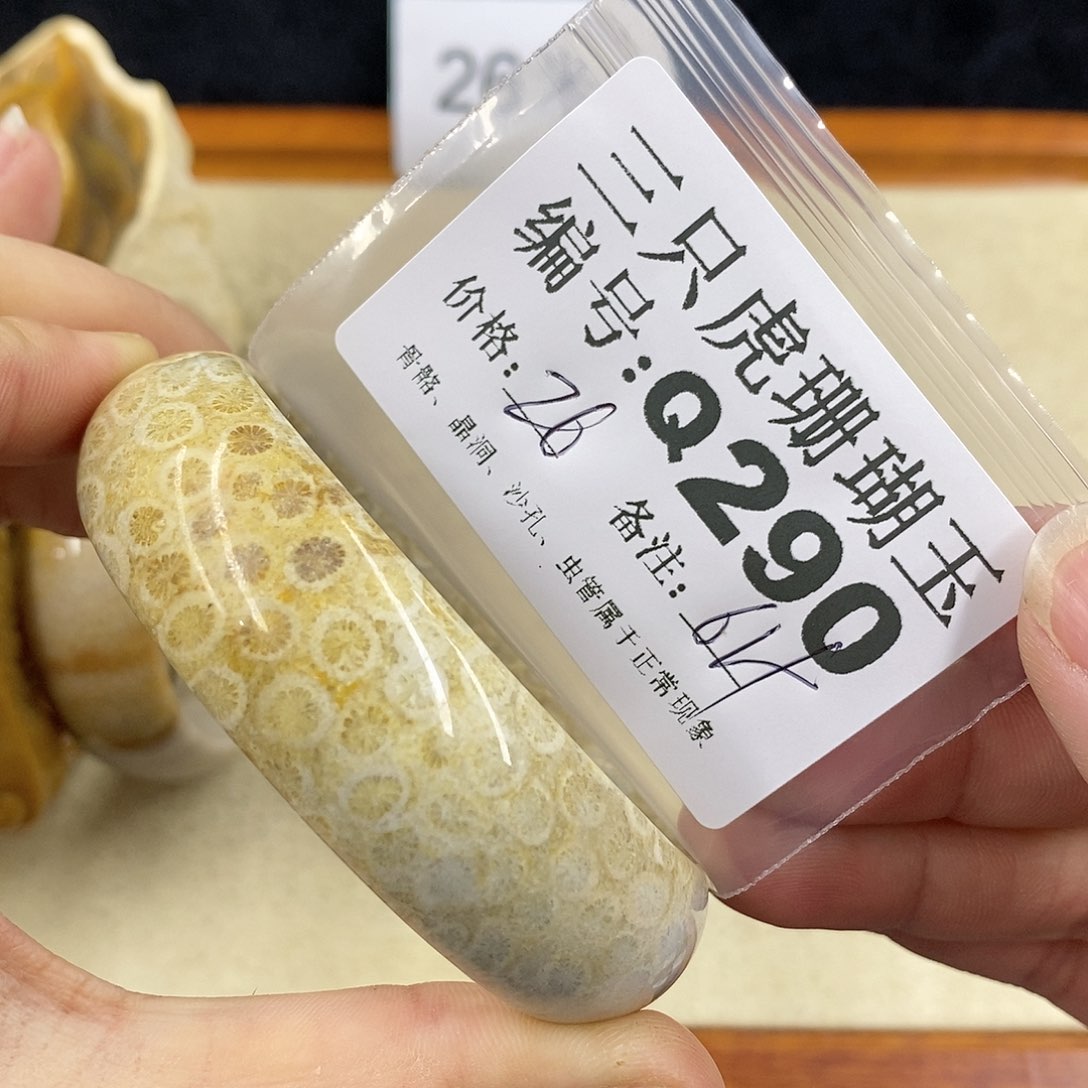 硅化珊瑚（珊瑚玉）1未镶嵌曾**时