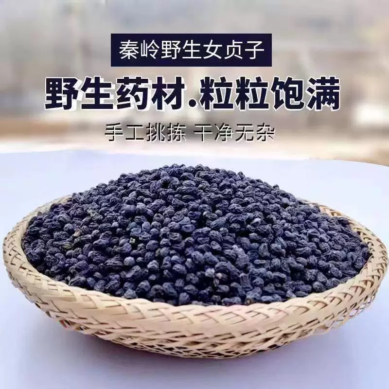女贞子纯野生女贞子秦岭深山采摘搭配杜仲泡酒好材料