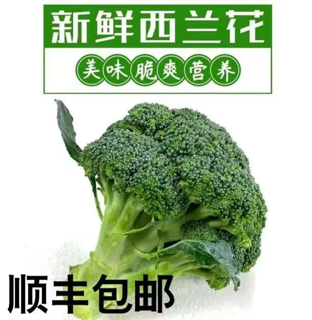 【顺丰包邮】河南农家露天种植霜打西兰花新鲜小耳花