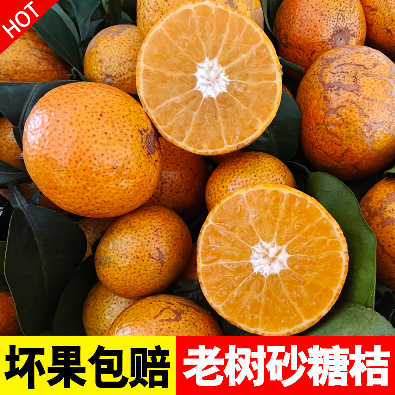 【5斤装】爆甜老树砂糖桔新鲜现摘沙糖桔当季水果