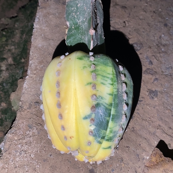 马***姐哈哈哈哈哈哈哈哈哈哈