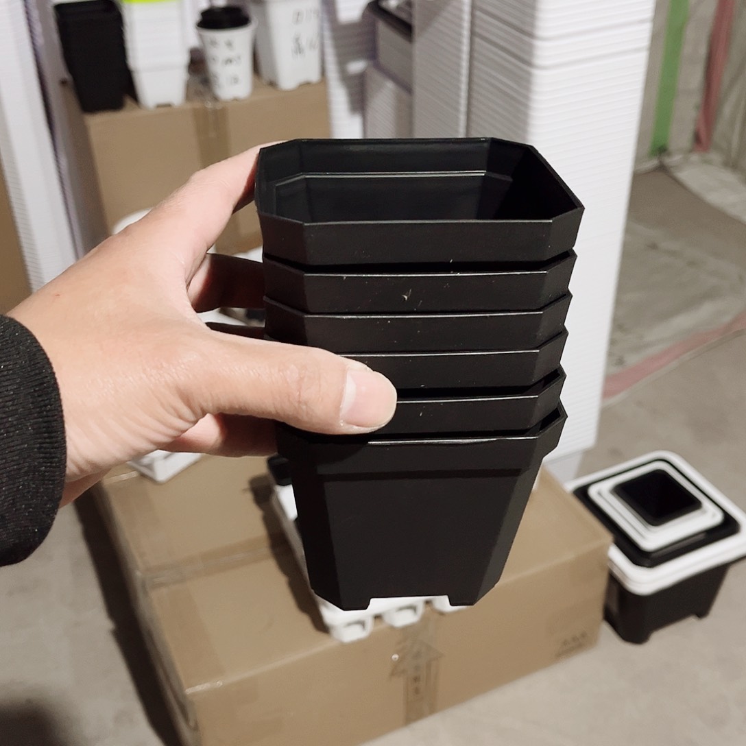 塑料加厚斜角10方黑色10个无托