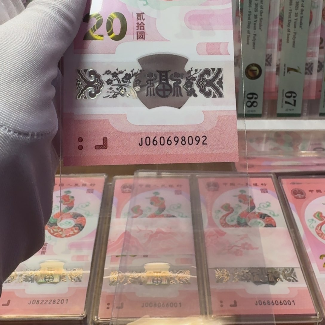 塑料蛇钞J060698092不支持七天无理由